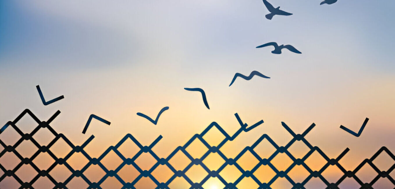 A City Without Cages: Creating Pretrial Safety and Liberty